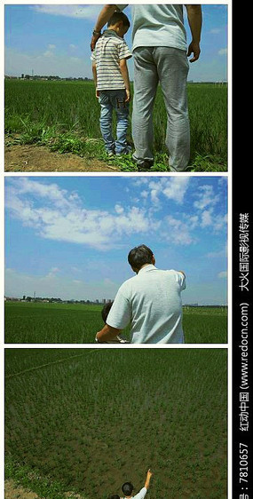 ���ȫ��ʵ�ĸ�����Ƶ�ز�