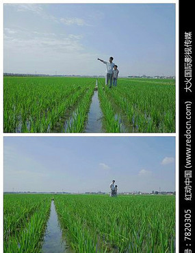 ��԰ҡ��ʵ�ĸ�����Ƶ�ز�