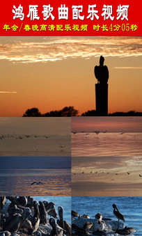 �������������Ƶ