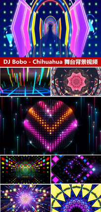 DJBoboChihuahua ̨