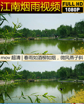 ����ϸ����Ƶ