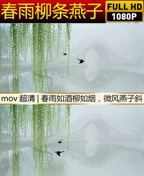 ����������ϸ��