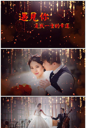 premiere�������˽ڱ���ģ��