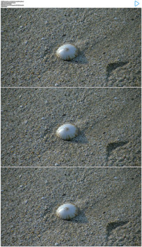 ��ˮ����