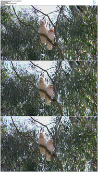 ���ϵİ���