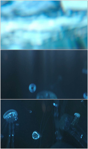 ˮĸζƵ