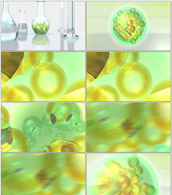 ҽ���о�΢�ۺ���ϸ����Ƶ