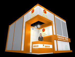 Ƥ������չ��