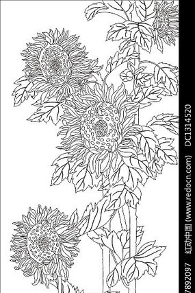 ��ʽ���տ����ͼ��