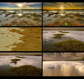 ˮλ������Ƶ�ز�