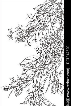 ֦֦�������ͼ��