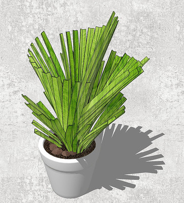 ����SUģ�� skp