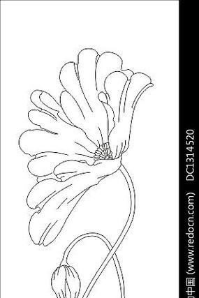 ��ʽ������