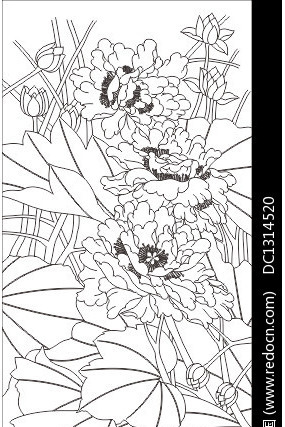 牡丹荷花雕刻图案 牡丹荷花雕刻图案