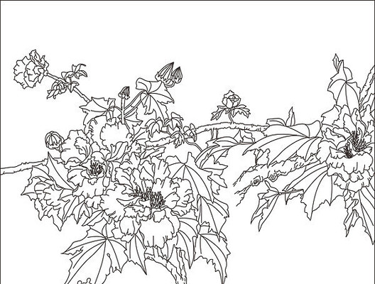 抽象牡丹雕刻图案 抽象牡丹雕刻图案