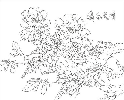 ��ɫ������ͼ��