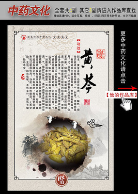 中国风中药文化展板挂图之黄芩 中国风中药文化展板挂图之黄芩