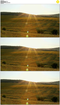 Ϧ����ũ��