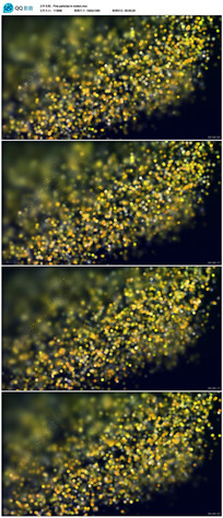 ��̬������Ƶ����