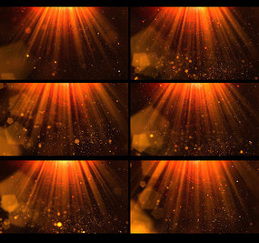 �佱������Ƶ����