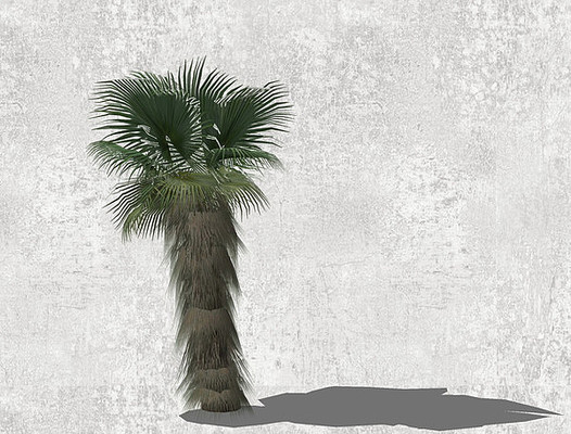 ���SUģ�� skp