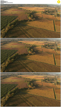 ����԰����