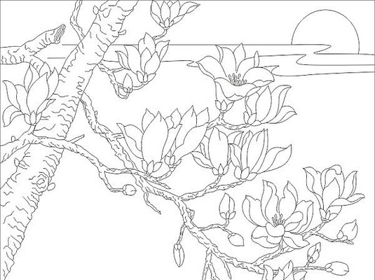 玉兰雕刻图案 玉兰雕刻图案