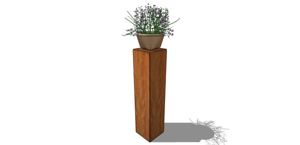 ����ֲ�� skp