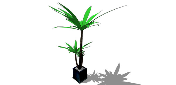 ����ֲ���辰 skp