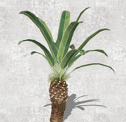 ���ģ�� skp