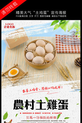 农村土鸡蛋宣传海报 农村土鸡蛋宣传海报