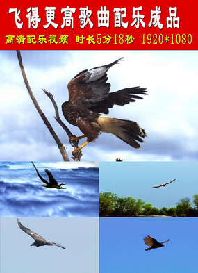 �ɵø��߸������ֳ�Ʒ