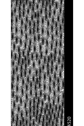 抽象图雕刻图案 抽象图雕刻图案