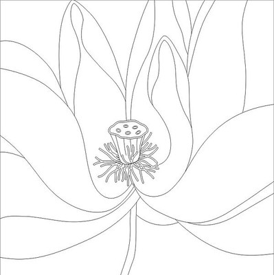 荷花雕刻图案 荷花雕刻图案