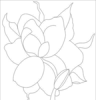 花致雕刻图案 花致雕刻图案