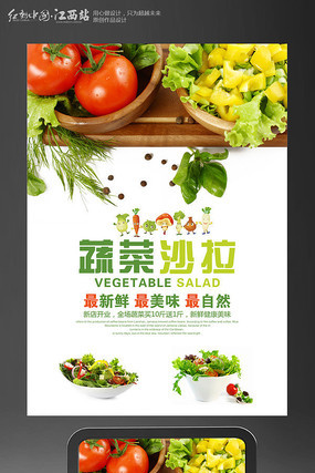 蔬菜沙拉宣传海报 蔬菜沙拉宣传海报