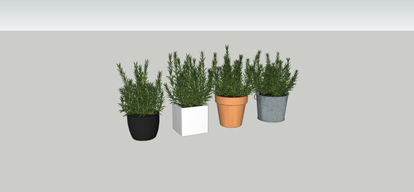 ����ֲ��