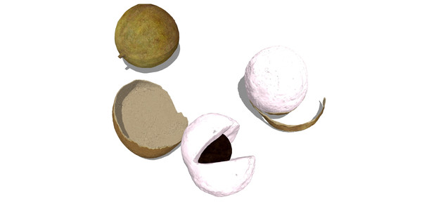 ˮ����Ƥ skp