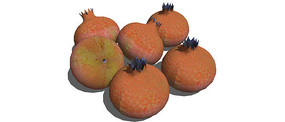 ʯ