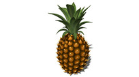 ʲ