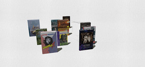 ���չʾģ��