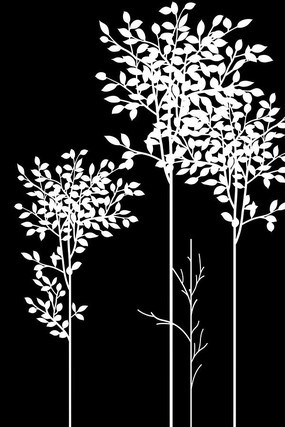 ��֦���ͼ�� CDR