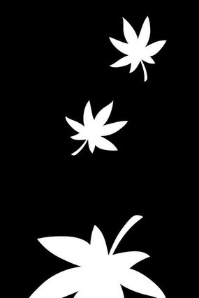 ��Ҷ����ͼ�� CDR