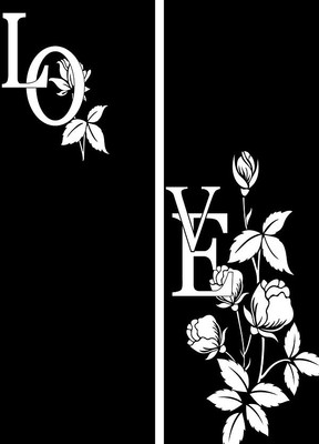 õ����ͼ�� CDR