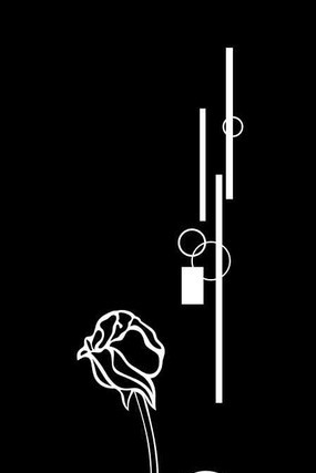 ����ͼ�� CDR