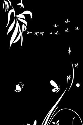 ������ͼ�� CDR