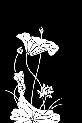 �ɻ����ͼ�� CDR