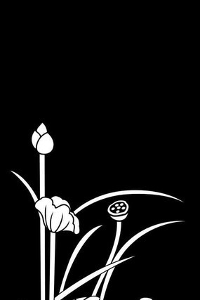 �ɻ�����ͼ�� CDR