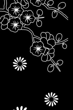 ���տ����ͼ�� CDR