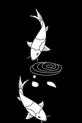 ������ͼ�� CDR